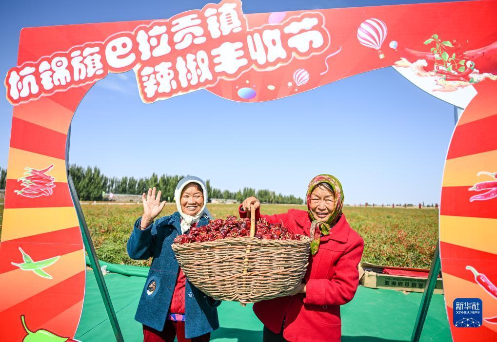 手机摇钱树1000炮打法